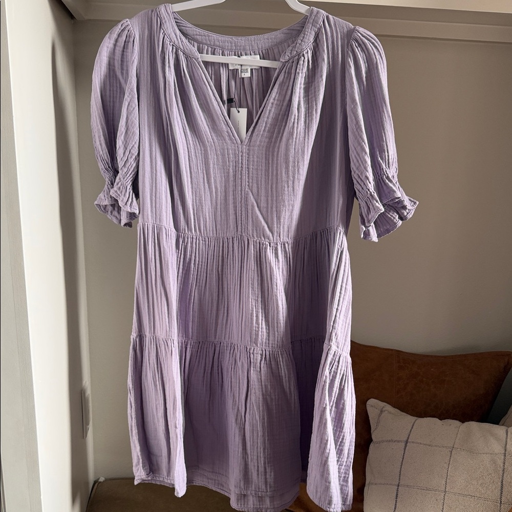 Velvet by Graham & Spencer Lilac Mini Dress